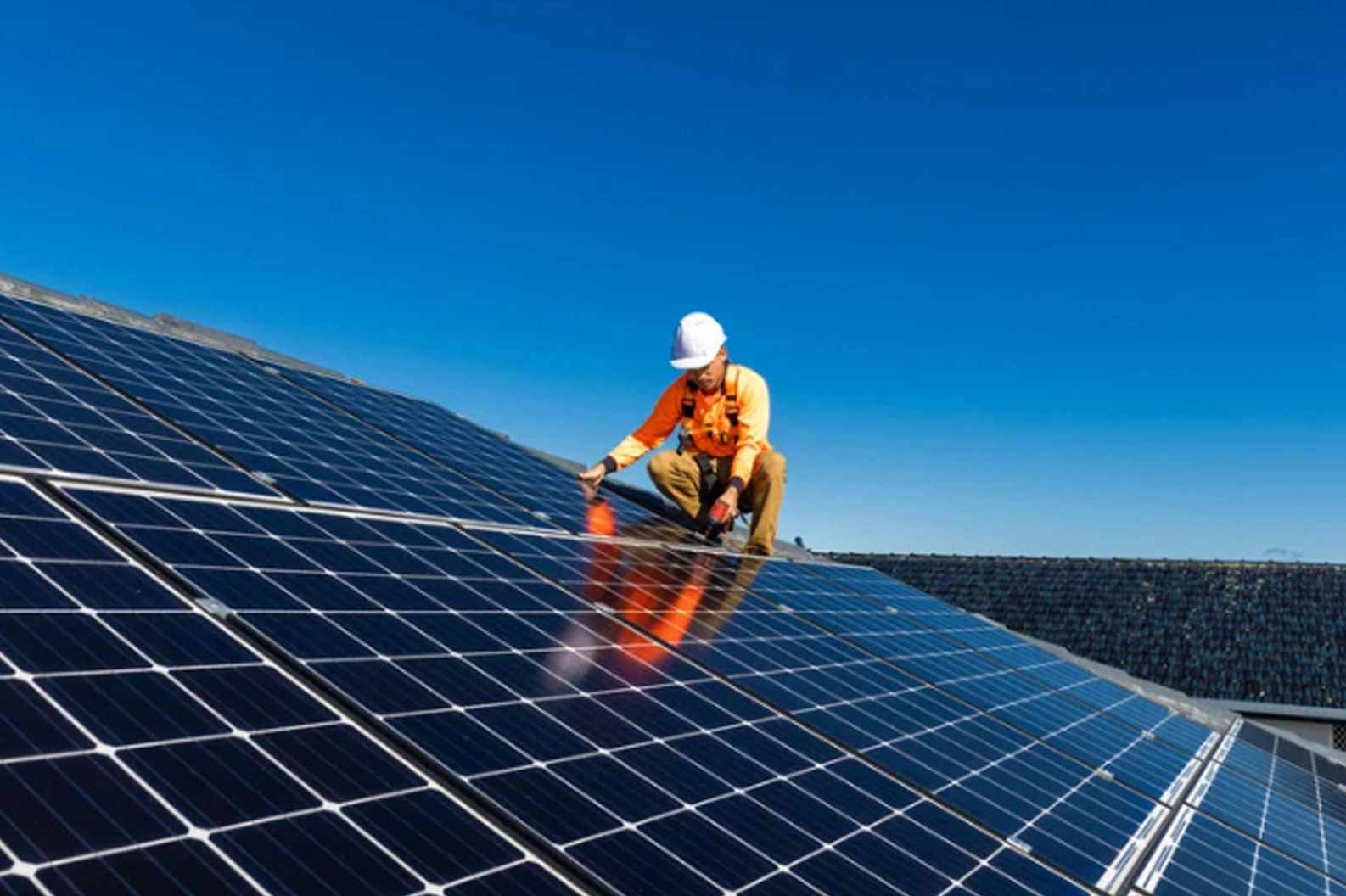 Riyo Electricals Limited Mumbai Urgently Requires for Guwahati Branch